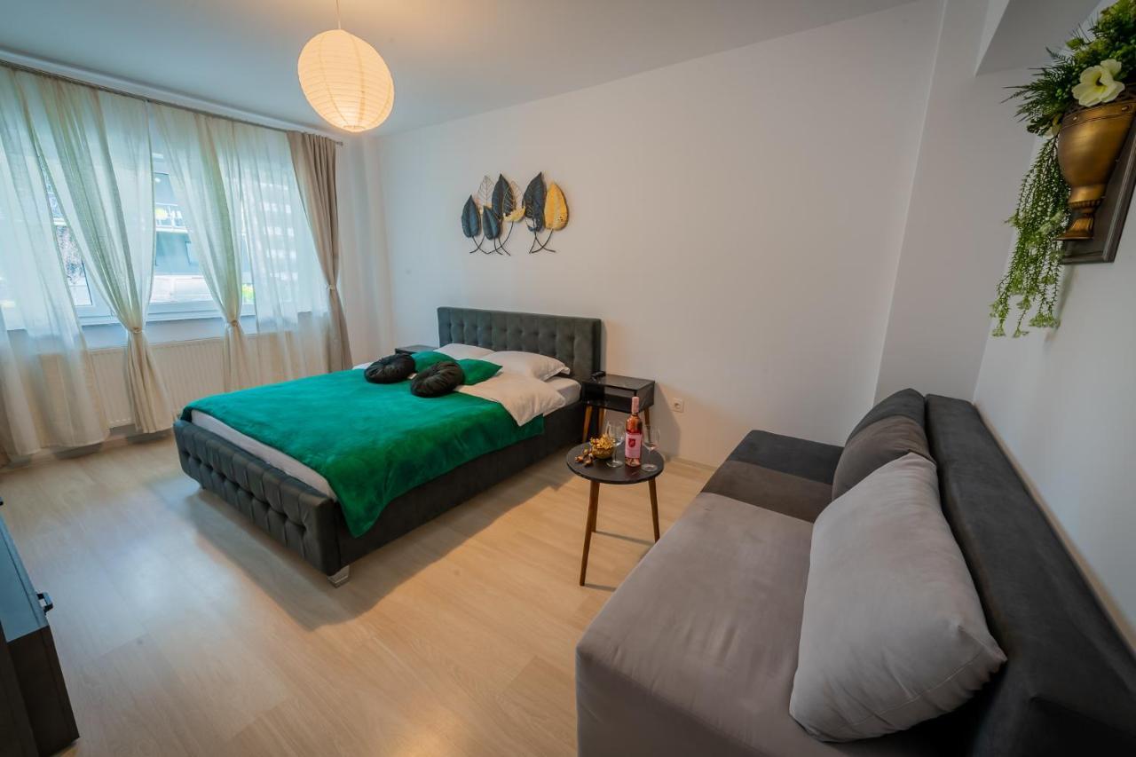 Apartment Coresi Vibe
