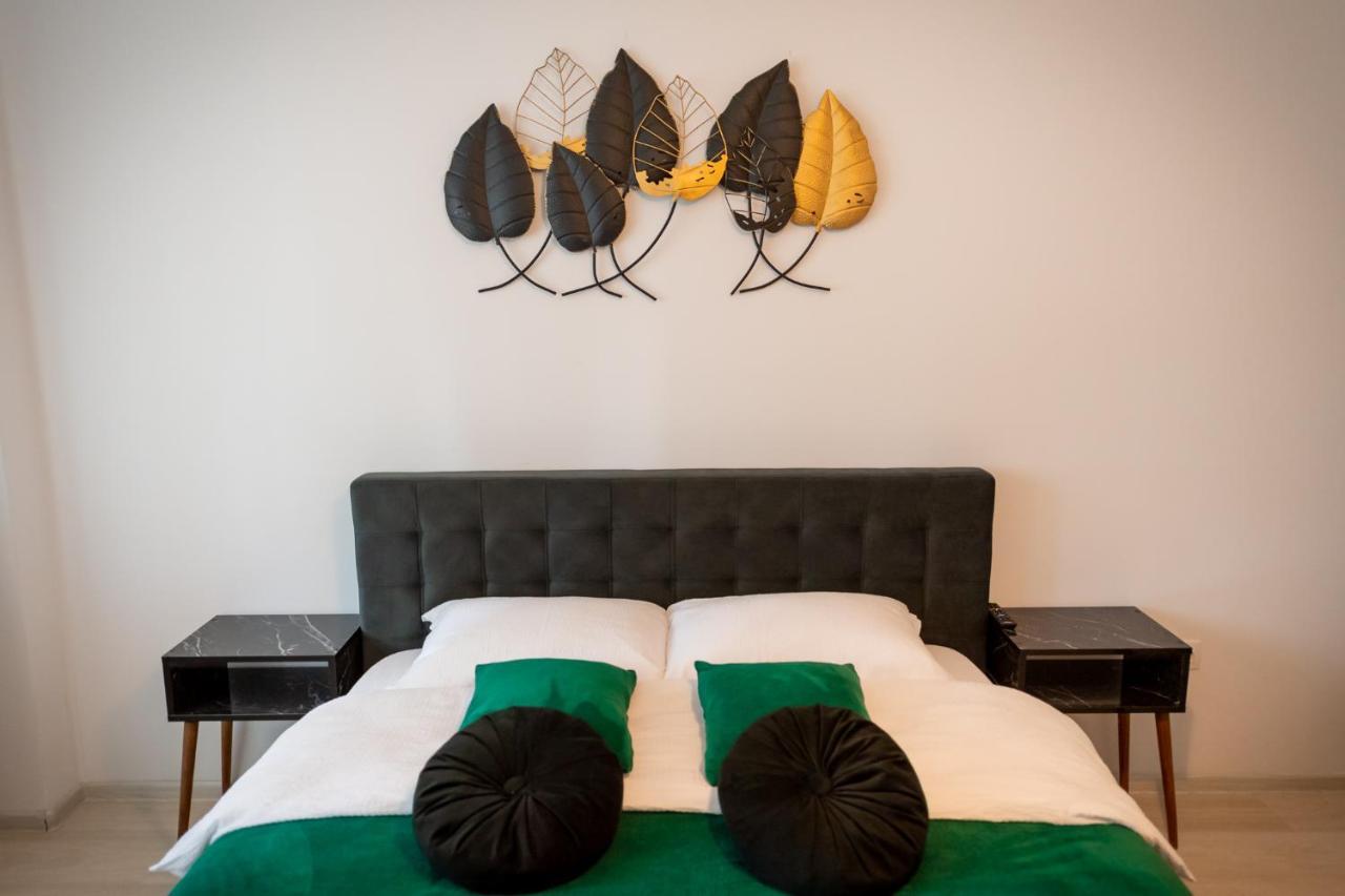 Coresi Vibe Apartment *