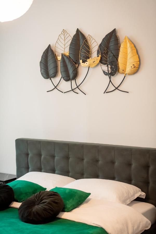Apartment Coresi Vibe Brasov