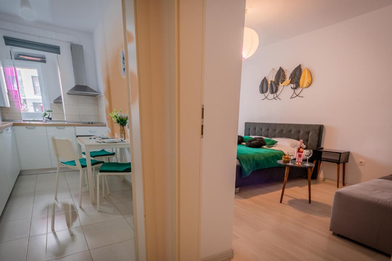 Coresi Vibe Apartment