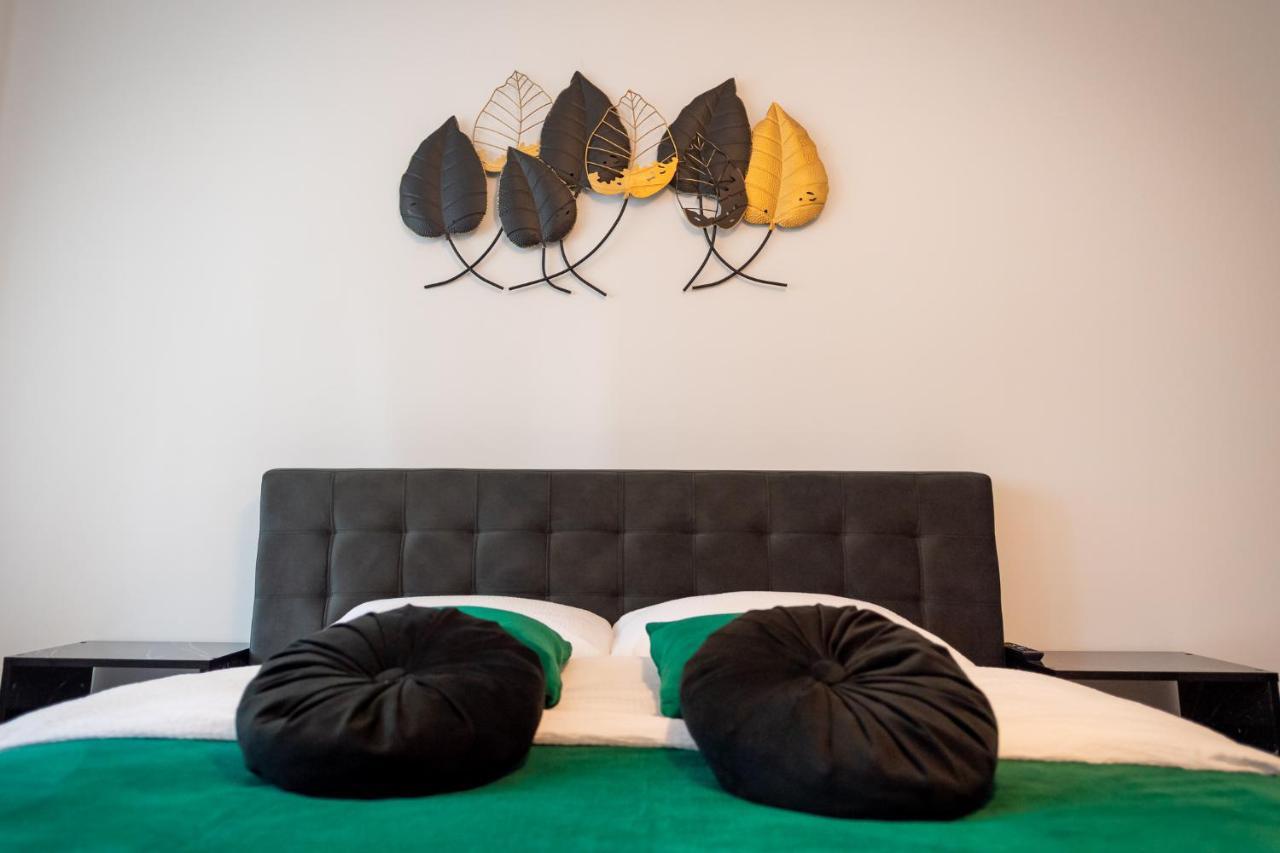 Coresi Vibe Apartment